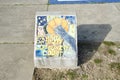 Memphis Grizzlies Community Court Art on Concrete