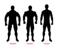 Men body types diagram with three somatotypes vector Royalty Free Stock Photo