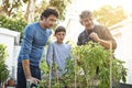 Men with boy working in garden in backyard with generations, grandfather with father and kid with plants. Sustainability