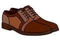 Men brown new stylish shoes illustration