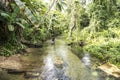 Men in canoe on small creek in scenic jungle forest West Papua Island in South Pacific Ocean.