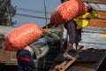 Heho, Myanmar - 31 January, 2020: Men carrying heavy sacks of garlic onions up wooden ladder. Typical scene in Burmese market
