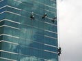 Men cleaning glass building by rope access at height Royalty Free Stock Photo