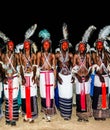 Men dancing Yaake dance and sing at Guerewol festival in InGall village, Agadez, Niger Royalty Free Stock Photo