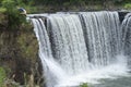 A men is diving from a cliff at Jingbo Lake falls in Heilongjiang, China. Waterfall and Mountain landscape