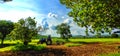 Men drive of tractor in evening time