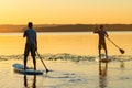 Men, friends paddling on a SUP boards during sunrise Royalty Free Stock Photo