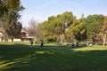 Men are golfing at County Park, San Jose