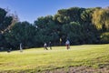 Men are golfing at County Park, San Jose