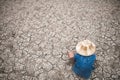 Men on ground cracked dry due to drought.