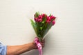 Men hand with pink tulips bouquet on white brick wall background. Springtime. Woman and mother day concept Royalty Free Stock Photo