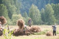 Men haymaking Royalty Free Stock Photo