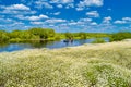 Men at kayak near field of white daisy flowers Royalty Free Stock Photo