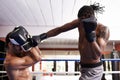 Men, kickboxing and punch for fight in ring, fitness and topless for exercise and workout. People, bodybuilders and Royalty Free Stock Photo