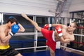 Men kickboxing. Royalty Free Stock Photo