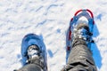 Men legs are shod with snowshoes