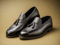 Men loafer shoes over a solid background