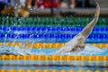 Lausanne, Switzerland, February 24, 2023 : 5th edition of Lausanne Swim Cup at Vaudoise Arena