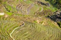 Rice terraces in Longsheng Royalty Free Stock Photo