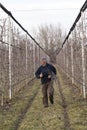 Men in orchard Royalty Free Stock Photo