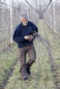 Men in orchard Royalty Free Stock Photo