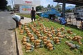 Men and pineapples at roadside near town market Royalty Free Stock Photo