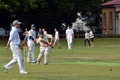 Men play Cricket in Victoria park Auckland, New Zealand Royalty Free Stock Photo