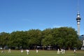 Men play Cricket in Victoria park Auckland, New Zealand Royalty Free Stock Photo