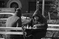 Men playing chess