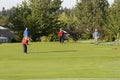 Men Playing Golf on Course Royalty Free Stock Photo