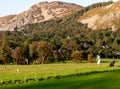 Men playing golf in low bright evening sunlight