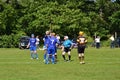 Men playing typical scottish team game shinty with sticks and ball