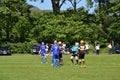 Men playing typical scottish team game shinty with sticks and ball