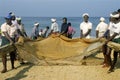 Men pulling dragnets ashore