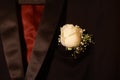 Men\'s black suit and black neck tie, with red shirt and white rose on blazer Royalty Free Stock Photo