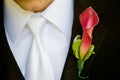 Men's Boutonniere Royalty Free Stock Photo