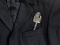 Men`s dark jacket in small stripes collar pocket sleeve in the pocket silver shovel shines