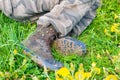 Men`s feet in camouflage boots and trousers lie on the grass. Royalty Free Stock Photo