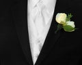 Men's Formal Attire Royalty Free Stock Photo