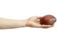 Men`s hand gives a red mango isolated on white background. Male`s arm holds exotic fruit