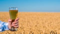 Men`s hand holds a glass of light beer against the background of a wheat field on a summer day Royalty Free Stock Photo