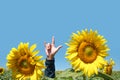 Rock hand sign and sunflower on blue sky.