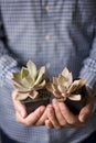 Man holding two indoor succulent plants in his hands.