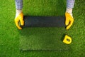 Men`s hands hold a roll of artificial grass. Royalty Free Stock Photo