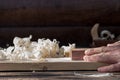 Men`s hands are planing a board on a workbench with a pile of shavings against the dark wall of the house