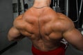 Men`s inflated back closeup. Gym. Body-builder. Beautiful, swollen male body. Trainer, advertising, healthy lifestyle. Bodybuilde Royalty Free Stock Photo