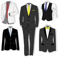 Men`s jacket. Ceremonial men`s suit, tuxedo. Accessories set. Ve Royalty Free Stock Photo