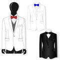 Men`s jacket. Ceremonial men`s suit, tuxedo. Vector illustration. Fashion collection Royalty Free Stock Photo