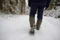 Walk through the snow-covered forest Royalty Free Stock Photo