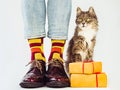 Men`s legs, stylish shoes, colorful socks with a pattern Royalty Free Stock Photo